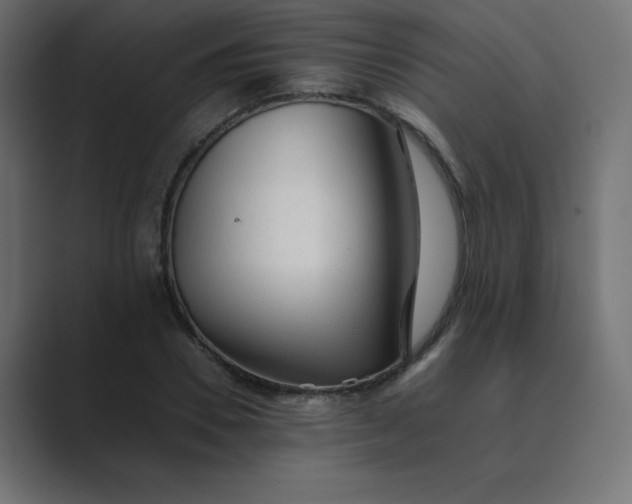 X0000089360930200706291038