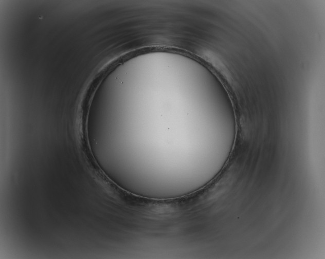 X0000089360931200706291038