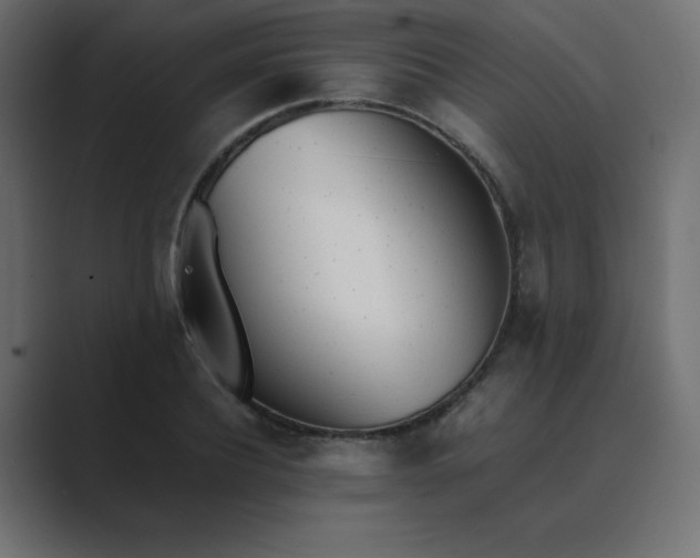 X0000089360932200706291038