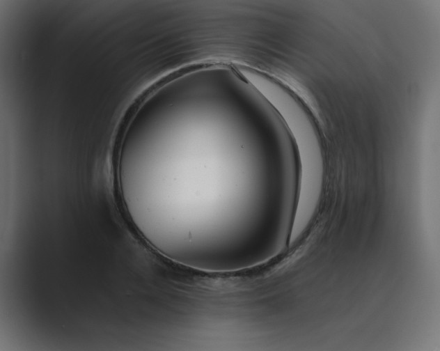 X0000089360936200706291038