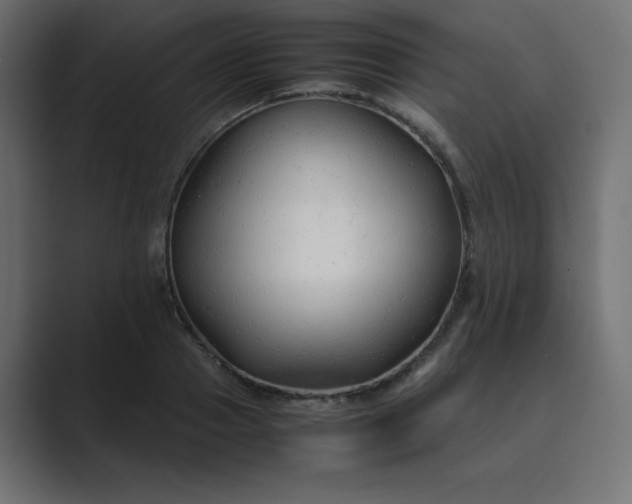 X0000089360937200706291038