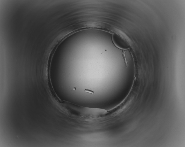 X0000089360938200706291038