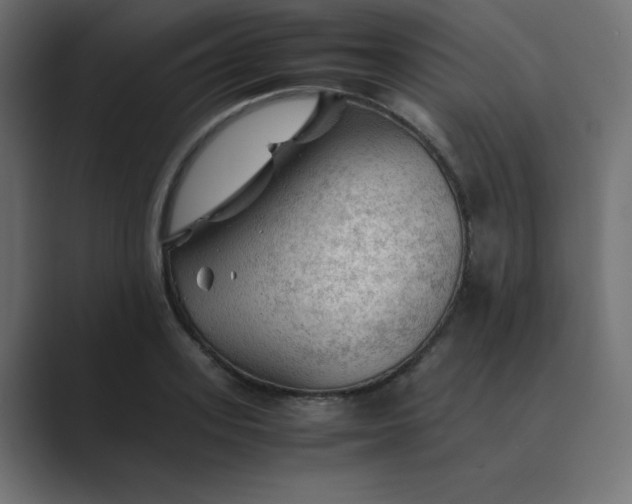 X0000089360939200706291038