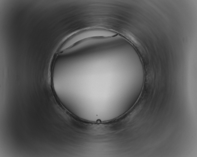 X0000089360940200706291038