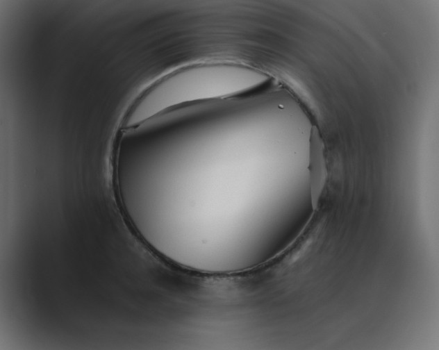 X0000089360944200706291039