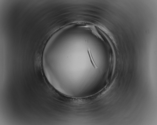 X0000089360945200706291039