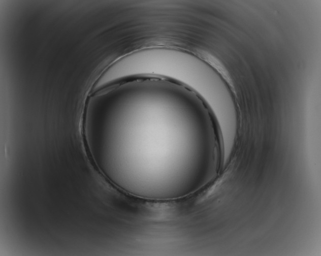 X0000089360946200706291039