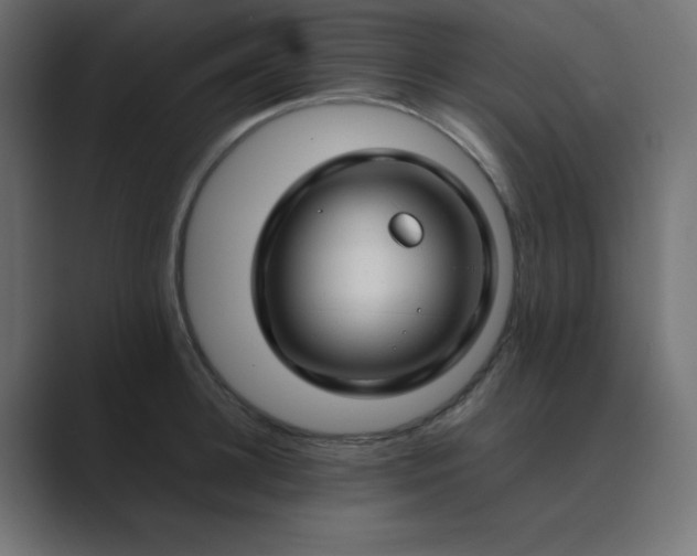 X0000089360948200706291039