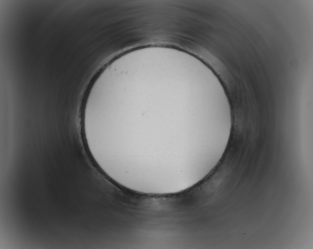 X0000089360950200706291039