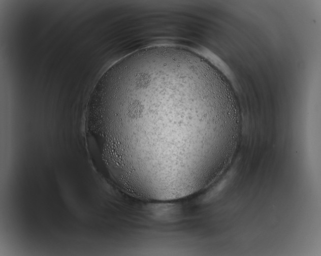 X0000089360953200706291039