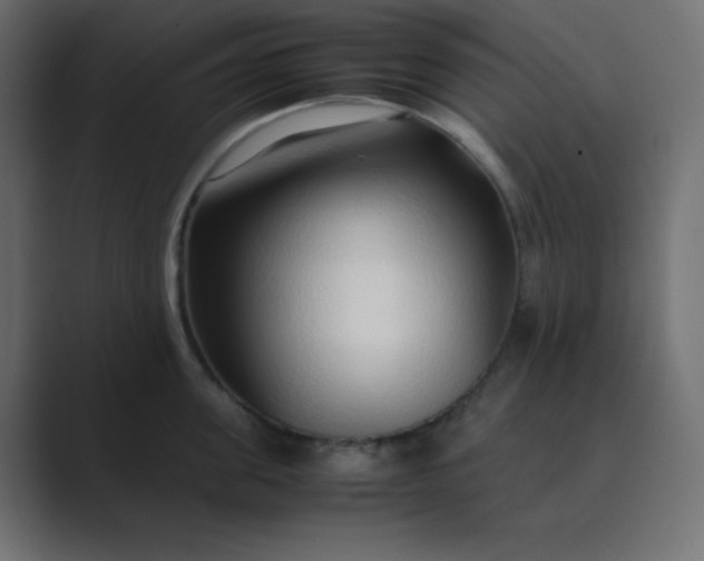 X0000089360955200706291039