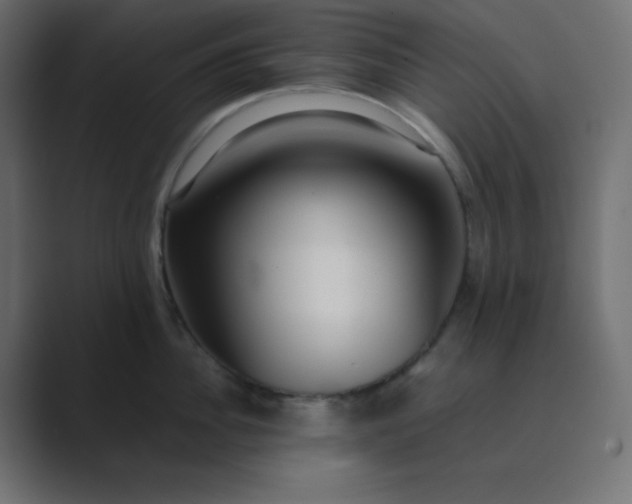 X0000089360956200706291039