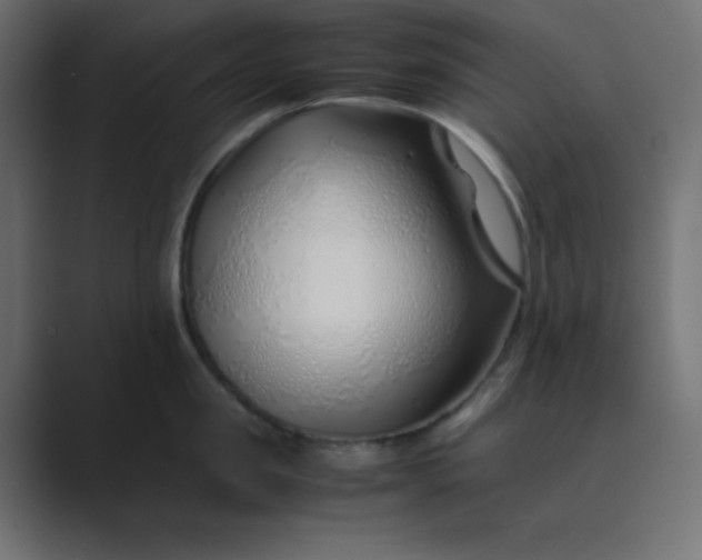 X0000089360957200706291039