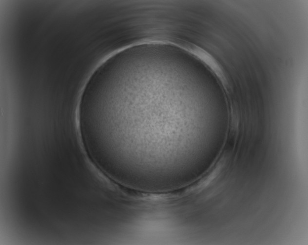 X0000089360958200706291039