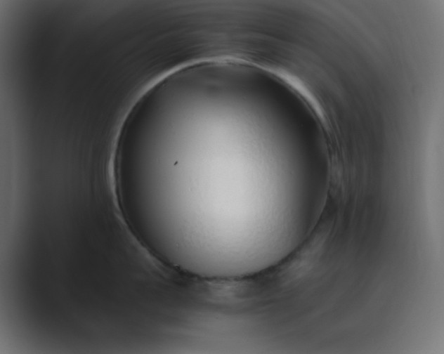 X0000089360959200706291039