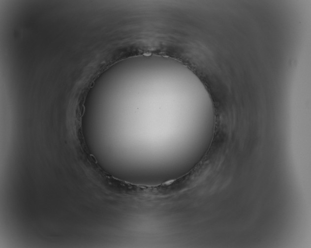 X0000089360961200706291038