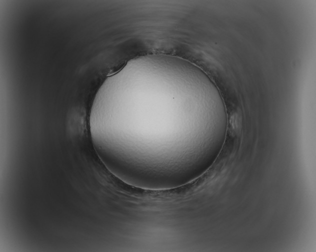 X0000089360963200706291038