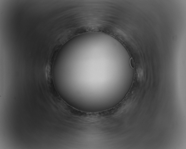 X0000089360964200706291038