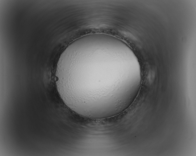 X0000089360966200706291038