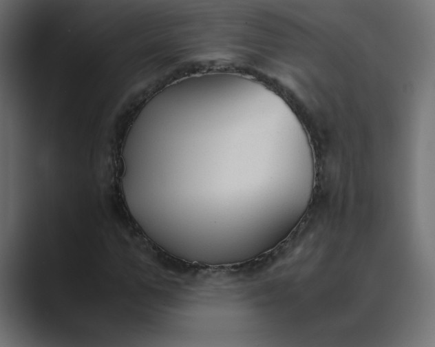 X0000089360967200706291038