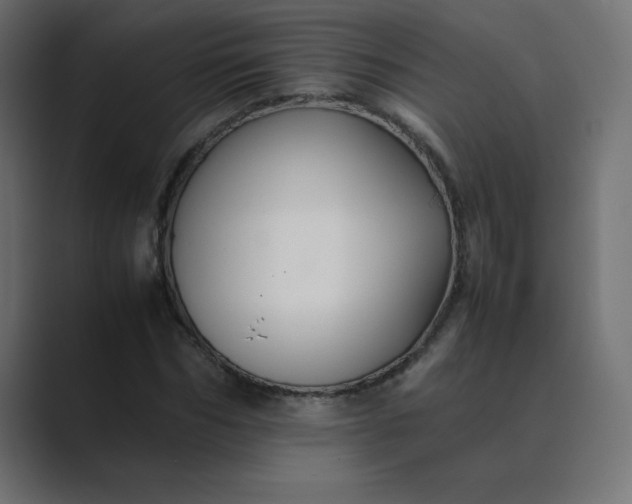 X0000089360970200706291038