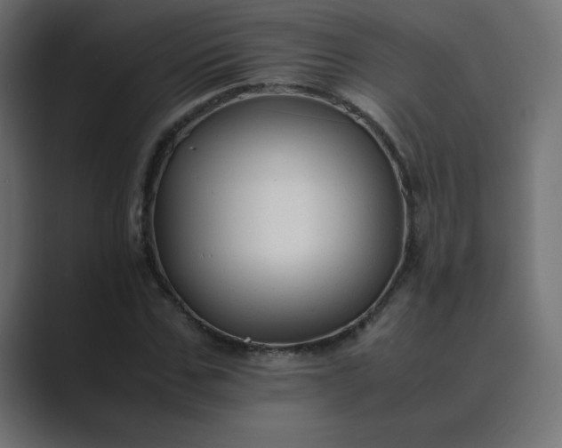 X0000089360971200706291038