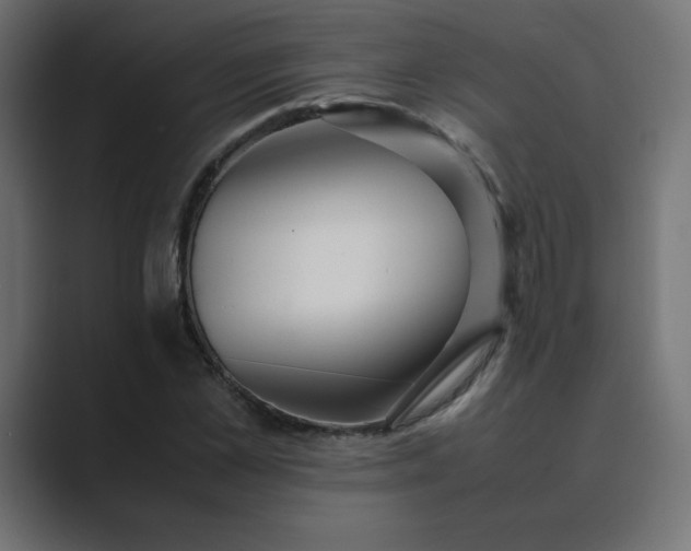 X0000089360973200706291038