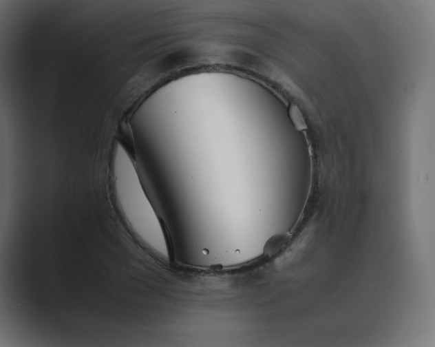 X0000089360977200706291038