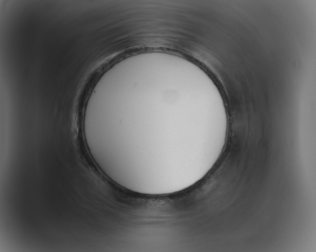 X0000089360979200706291038