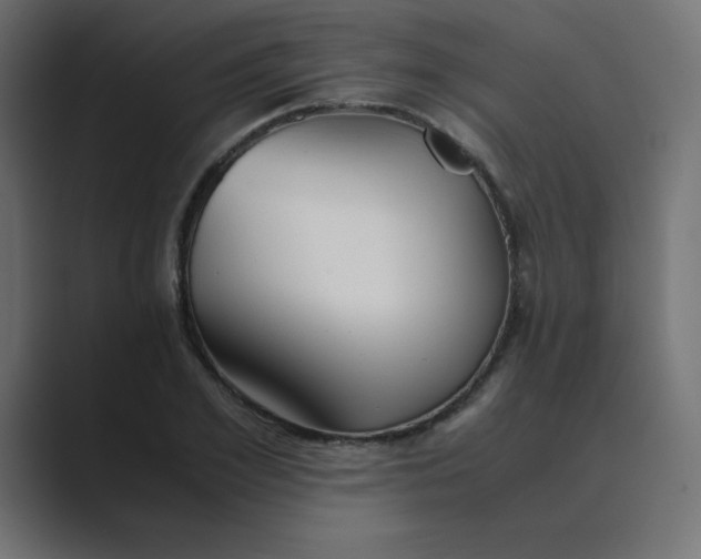 X0000089360981200706291038