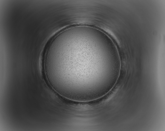 X0000089360983200706291038