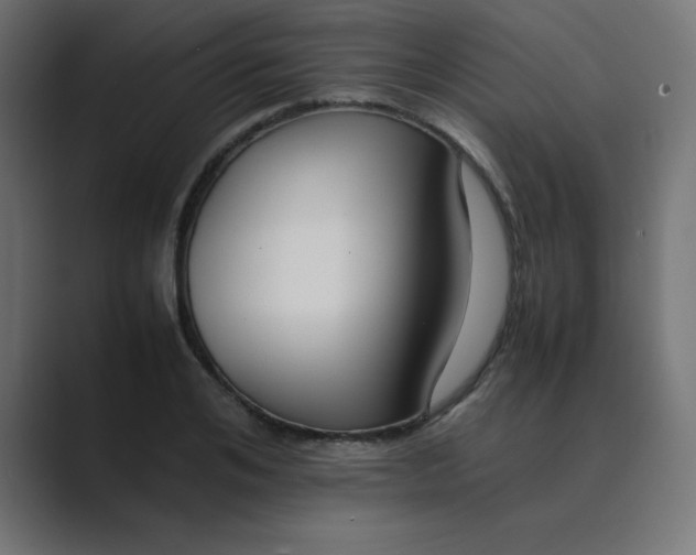 X0000089360984200706291038