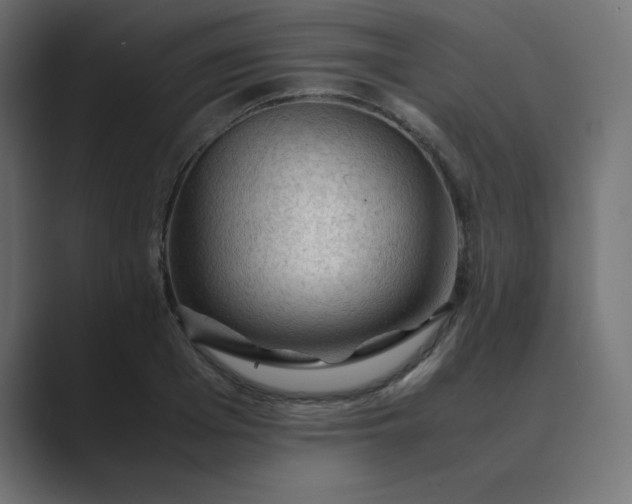 X0000089360985200706291038