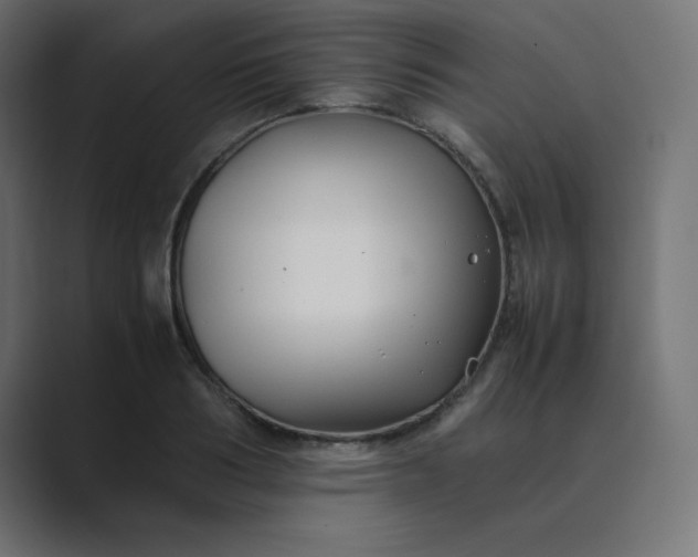 X0000089360986200706291038