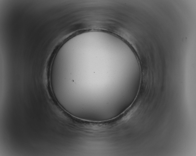 X0000089360987200706291038