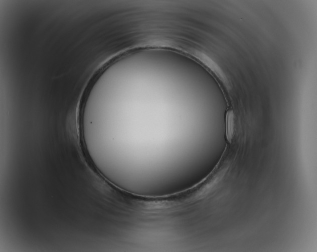 X0000089360988200706291038