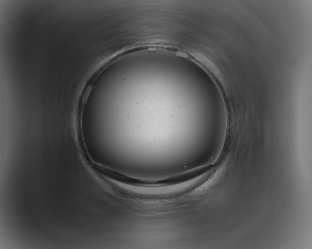 X0000089360989200706291038