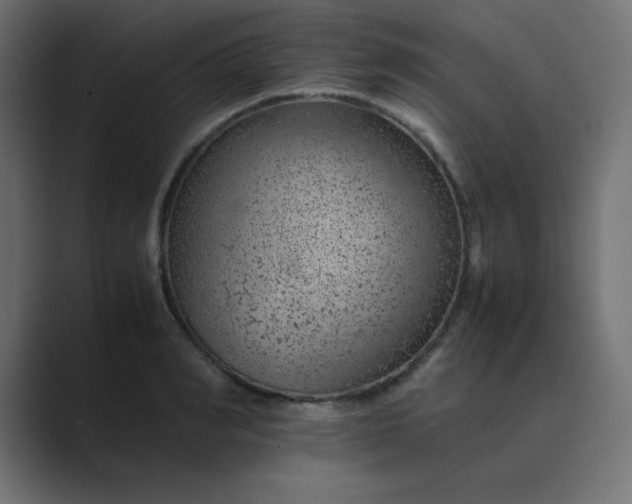 X0000089360990200706291038