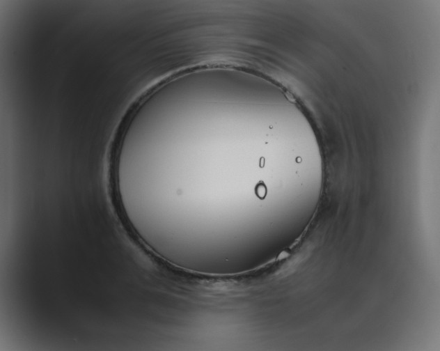 X0000089360991200706291038