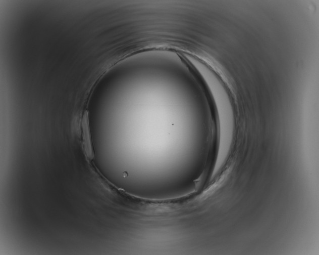 X0000089360993200706291038