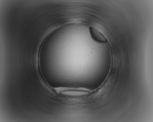 X0000089360994200706291038