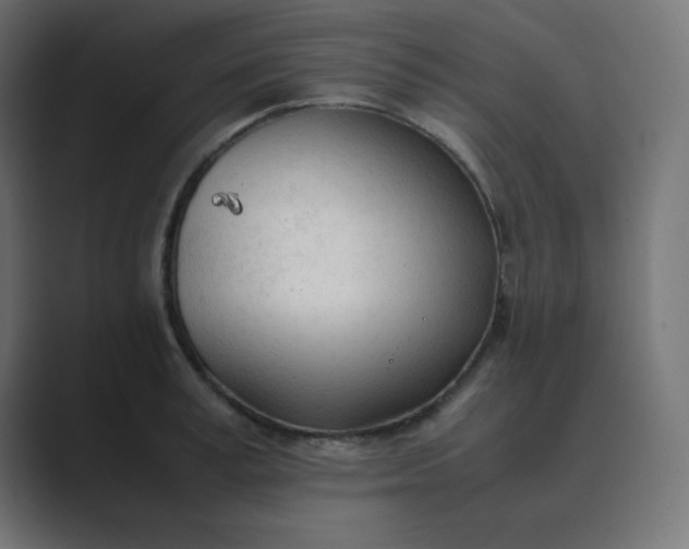 X0000089360995200706291038