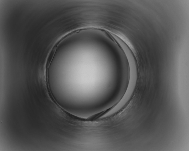 X0000089360996200706291038