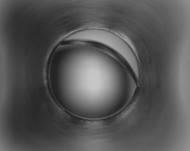 X0000089360997200706291038