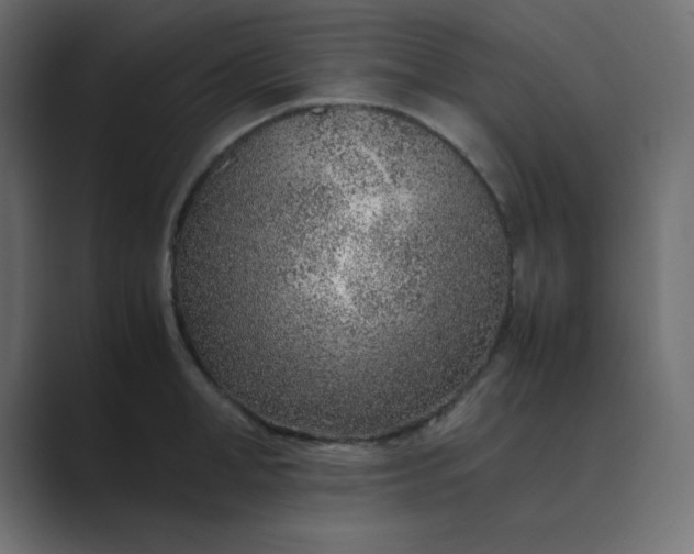 X0000089360998200706291038