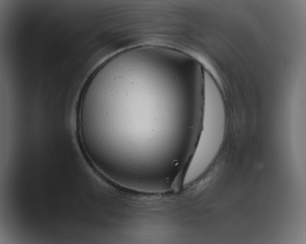 X0000089360999200706291038