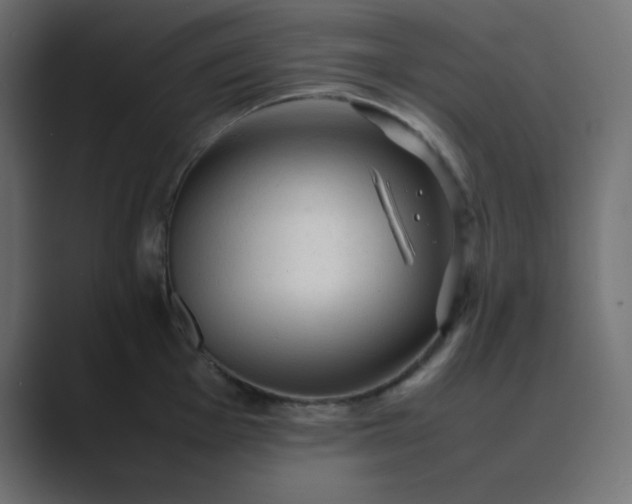 X0000089361001200706291038