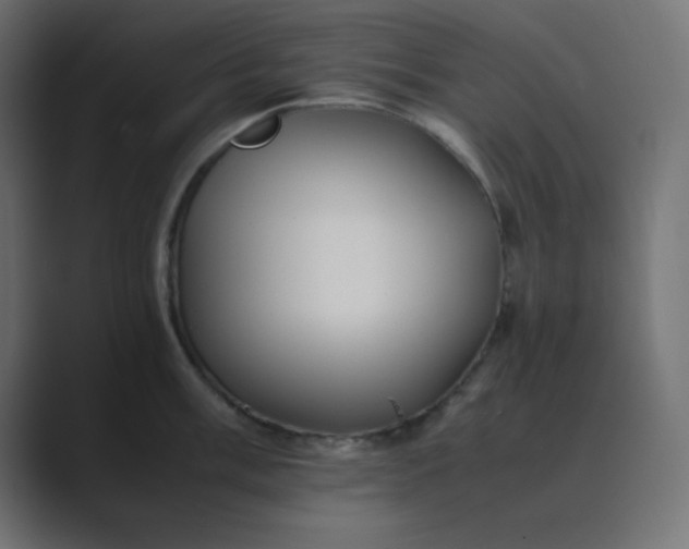 X0000089361003200706291038