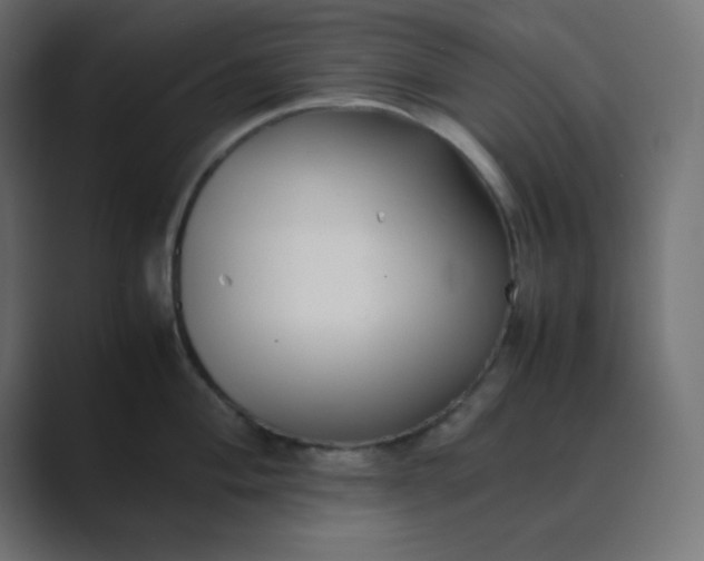 X0000089361004200706291038