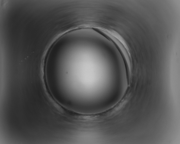 X0000089361005200706291038